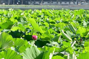 瓜帅：从沙特返回的飞机上队员在谈论埃弗顿，我想哇，这就对了